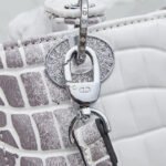 Nội dung đoạn văn bản của bạn