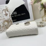 Nội dung đoạn văn bản của bạn