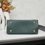 Nội dung đoạn văn bản của bạn