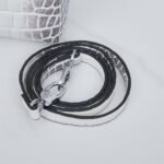 Nội dung đoạn văn bản của bạn