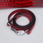 Nội dung đoạn văn bản của bạn