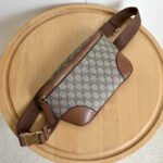 Nội dung đoạn văn bản của bạn