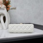 Nội dung đoạn văn bản của bạn