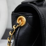 Nội dung đoạn văn bản của bạn