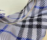 Nội dung đoạn văn bản của bạn