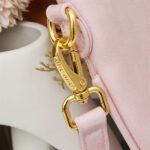 Nội dung đoạn văn bản của bạn